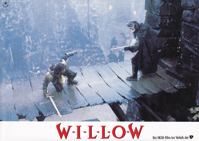 Willow - Vitrinfotók