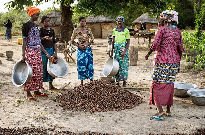 Kadoua et les cueilleuses de karité burkinabè - Photos