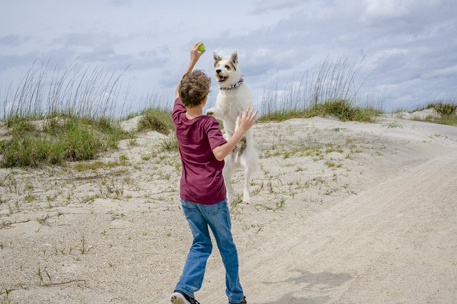 Love at the Shore - Photos