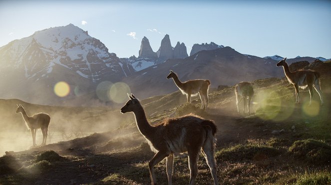 Eden: Untamed Planet - Patagonia: The Ends of the Earth - Z filmu