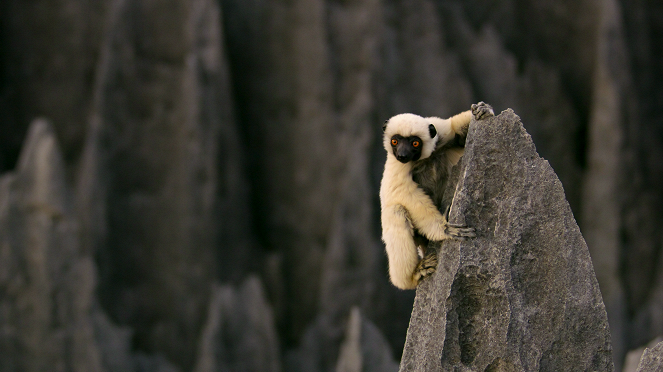 Our Great National Parks - A World of Wonder - Van film