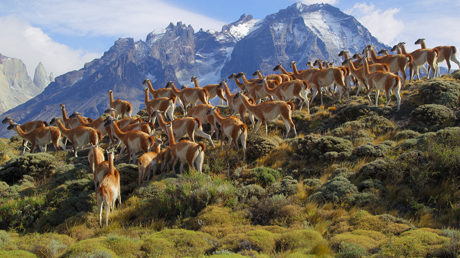 Slavné národní parky - Chilská Patagonie - Z filmu