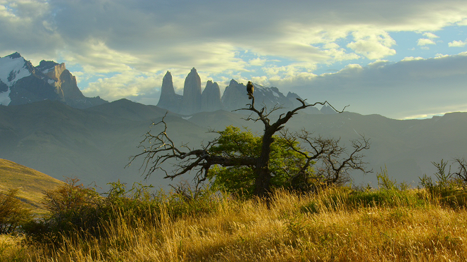 Parques nacionales majestuosos - La patagonia chilena - De la película