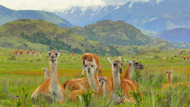 Slavné národní parky - Chilská Patagonie - Z filmu