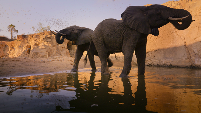 Parques nacionales majestuosos - Tsavo (Kenia) - De la película