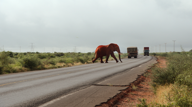 Our Great National Parks - Tsavo, Kenya - Van film