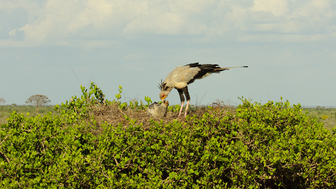 Unsere wunderbaren Nationalparks - Tsavo, Kenya - Filmfotos