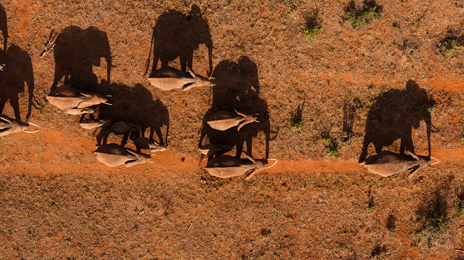 Unsere wunderbaren Nationalparks - Tsavo, Kenya - Filmfotos