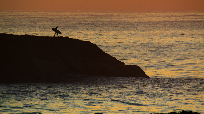 Slavné národní parky - Státní mořská rezervace Monterey Bay, USA - Z filmu