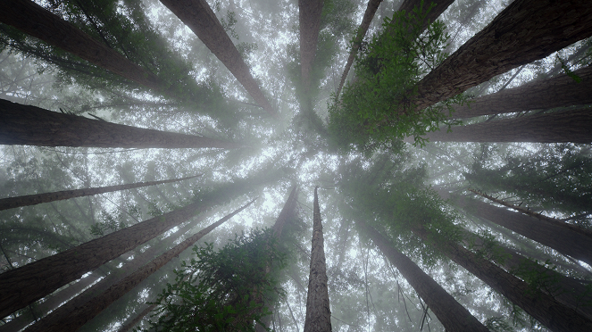 Unsere wunderbaren Nationalparks - Monterey Bay National Marine Sanctuary, USA - Filmfotos