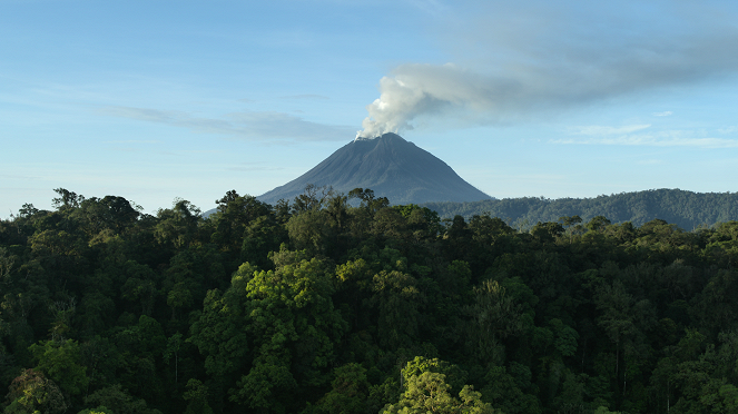 Najsłynniejsze parki narodowe świata - Gunung Leuser, Indonezja - Z filmu
