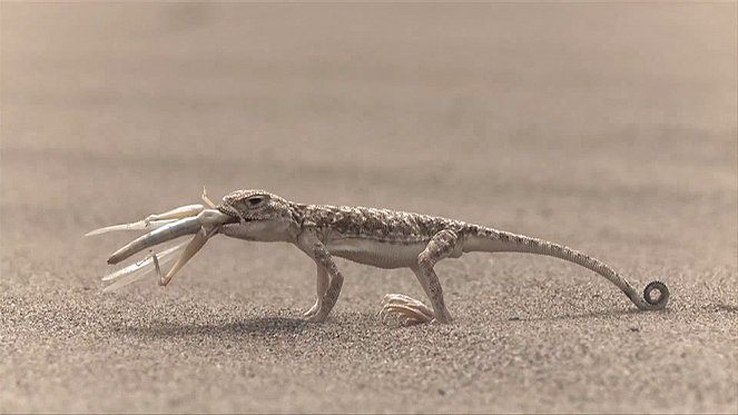 Alamto, a Reptile Wonderland - Do filme