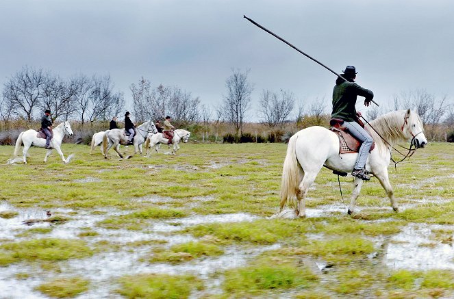 Die Camargue, wild und zart besaitet - Filmfotos