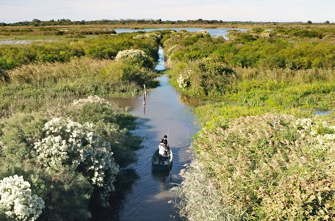 La Camargue, sauvage et fragile - Kuvat elokuvasta