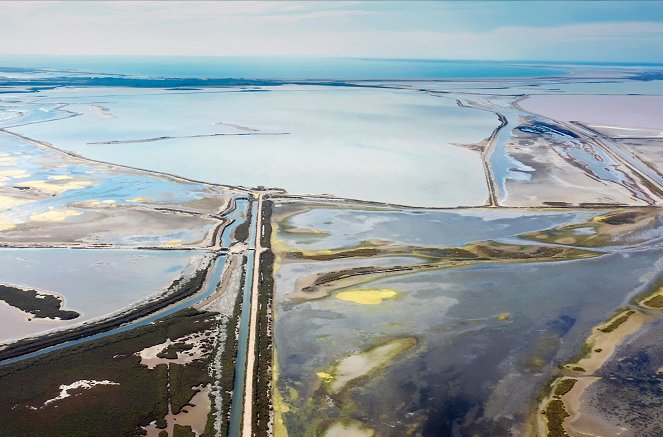 Die Camargue, wild und zart besaitet - Filmfotos