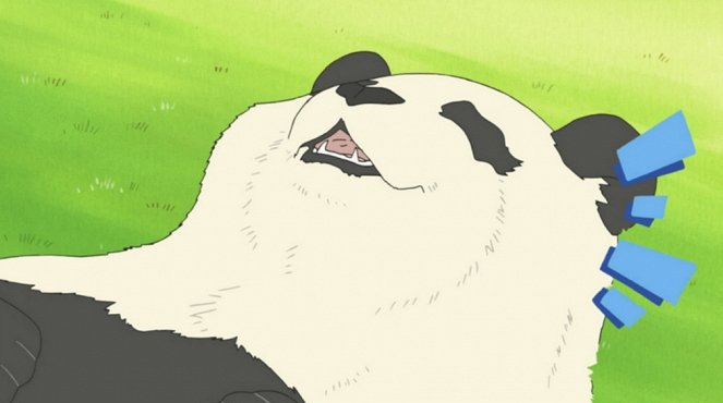 Širokuma Café - Panda-kun no diet / Mezase! Wild panda - Z filmu