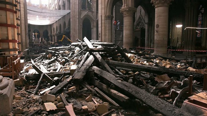 Saving Notre Dame - Photos