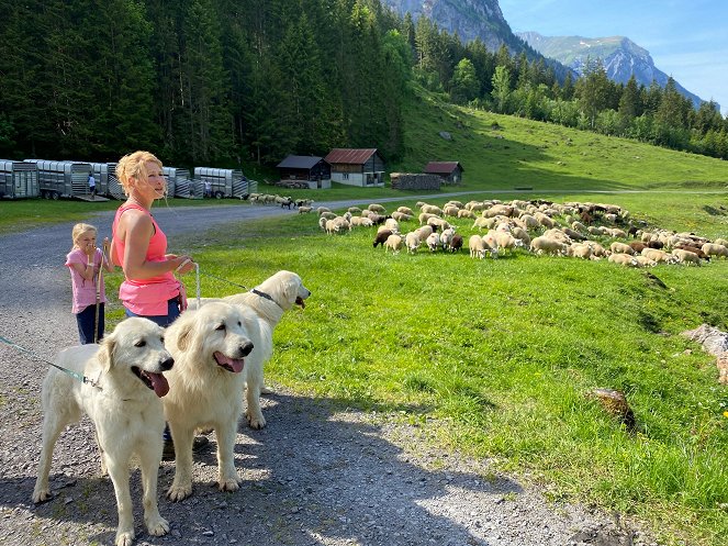 Schweizer Hundegeschichten - Herdenschutzhunde – die alpinen Beschützer gegen Wolf & Co. - Filmfotos