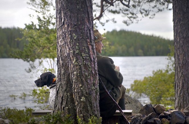 Wildnis Europa - Das Auerhuhn - Film