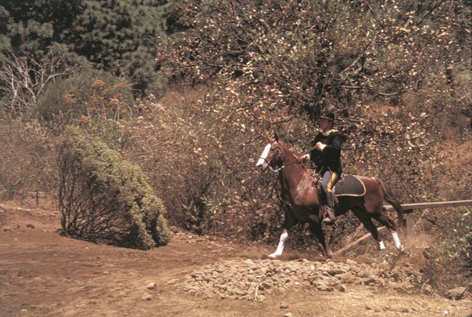 Rio Lobo - Do filme