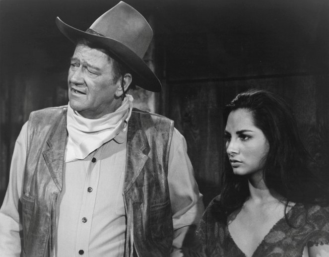 Rio Lobo - Do filme