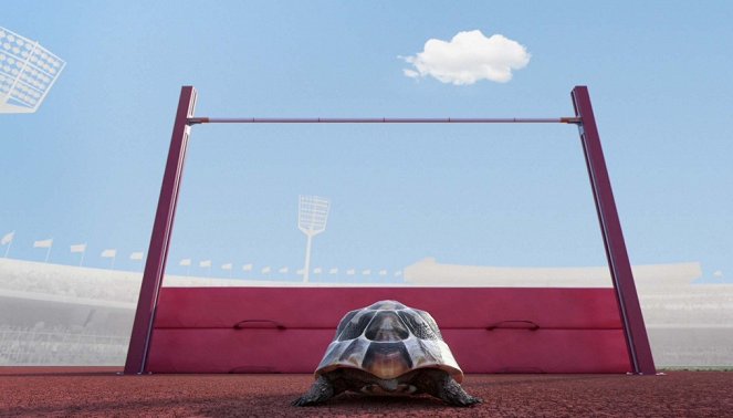 ATHLETICUS - Állati sportolók - Magasugrás - Filmfotók