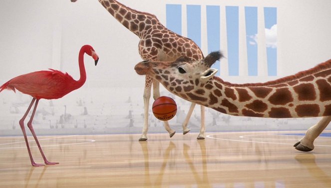 Athleticus - Basket - Filmfotók