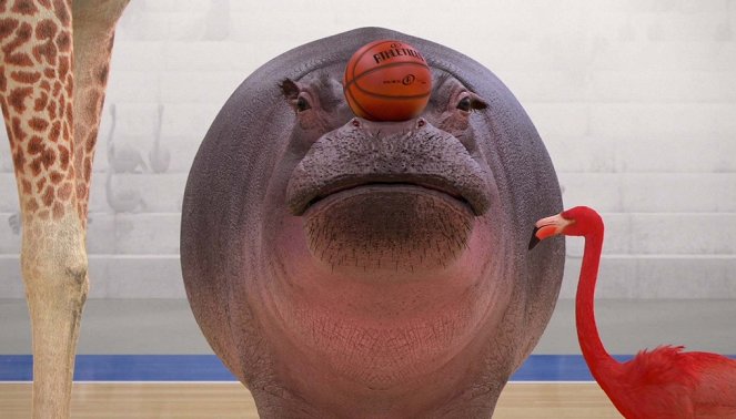 Athleticus - Basket - Kuvat elokuvasta