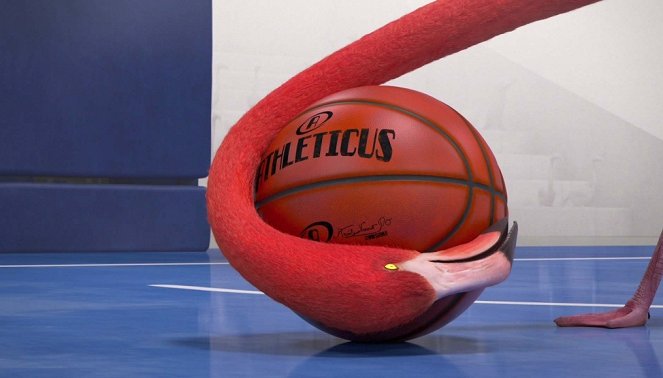 Athleticus - Basket - Photos