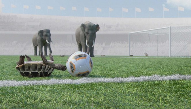 Sportující zvířata - Gardien de but de football - Z filmu