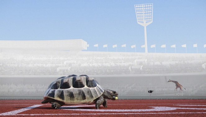 Athleticus - Course de relais - Film