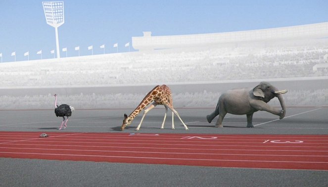 Sportující zvířata - Course de relais - Z filmu