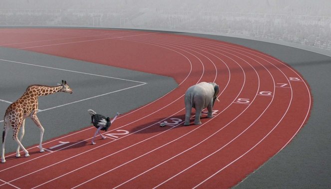 Sportující zvířata - Course de relais - Z filmu