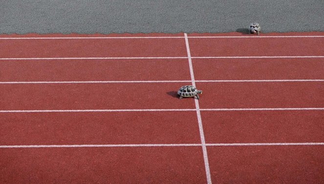 Athleticus - Staffellauf - Filmfotos