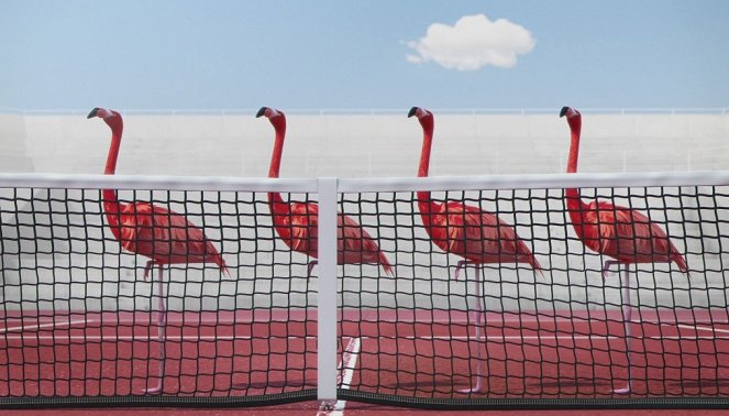 Athleticus - Entraînement de tennis - Photos