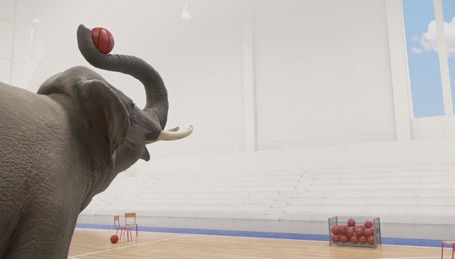 Sportující zvířata - Gardien de gymnase - Z filmu