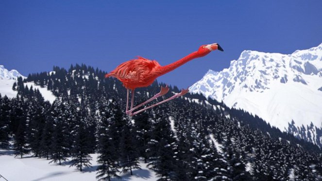 Athleticus - Season 2 - Skispringen - Filmfotos