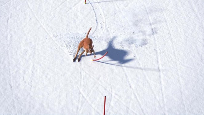 Athleticus - Slalom spécial - Filmfotók