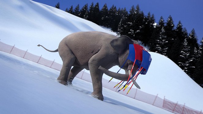 Athleticus - Season 2 - Slalom géant - Photos