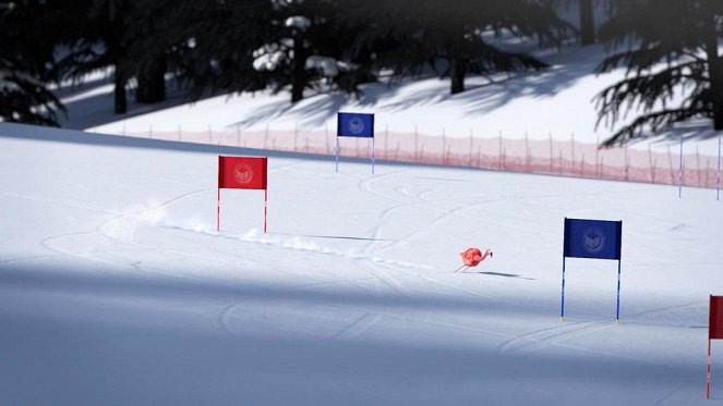 Athleticus - Slalom géant - Photos