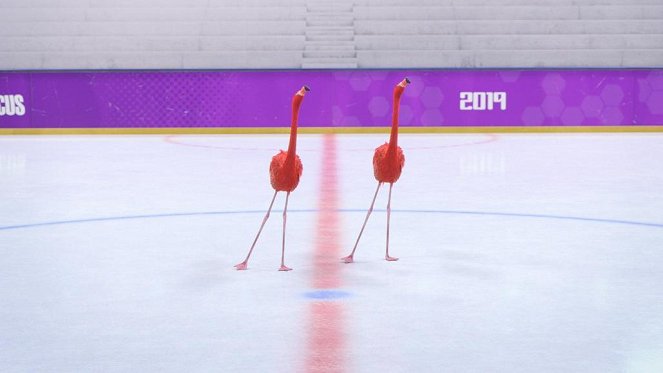 Athleticus - Une patinoire pour deux - Photos