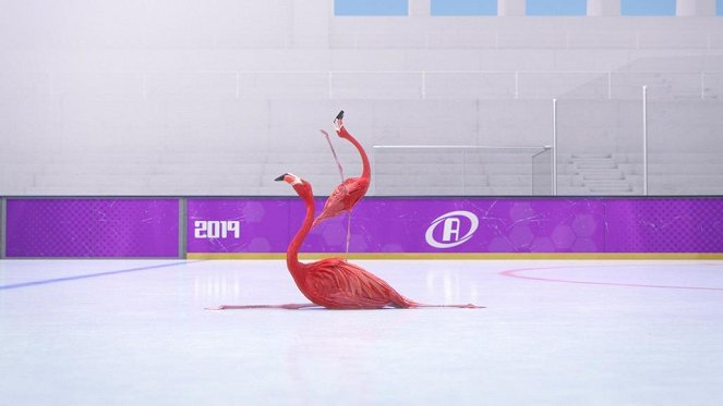 Athleticus - Une patinoire pour deux - Photos