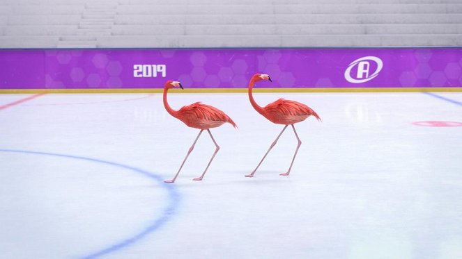 Athleticus - Season 2 - Une patinoire pour deux - Photos