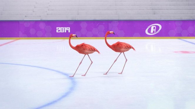 Athleticus - Une patinoire pour deux - Van film