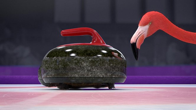 Athleticus - Curling - Photos