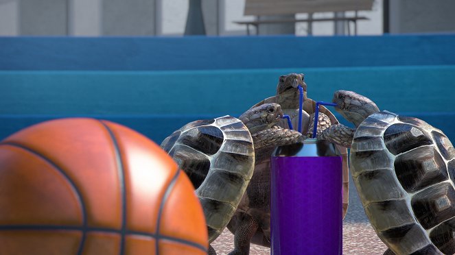 Sportující zvířata - Série 3 - Street basket - Z filmu