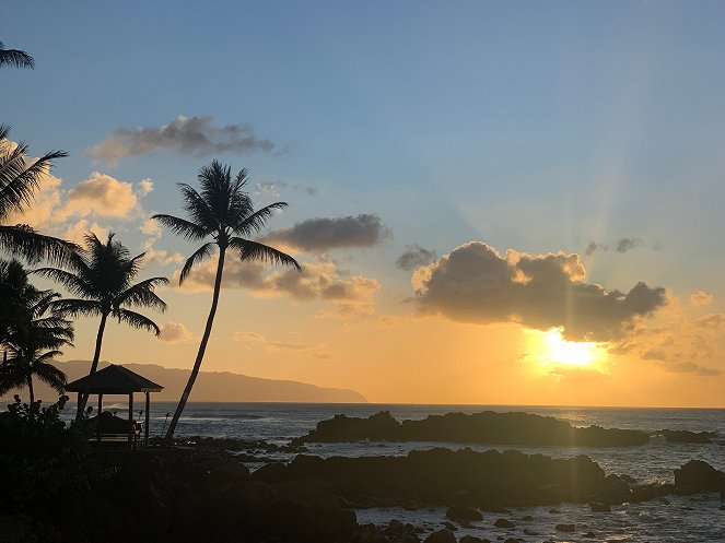 Maui cápái - Filmfotók