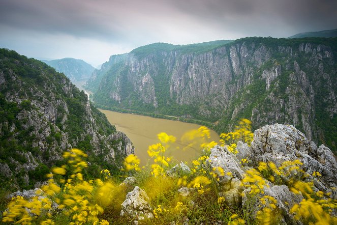 Rumäniens wilde Schönheit - Frühlingserwachen - Filmfotos