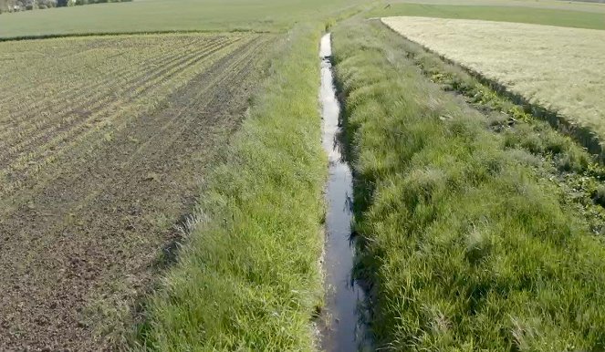 Eine Welt ohne... - Eine Welt ohne Insektensterben - Film