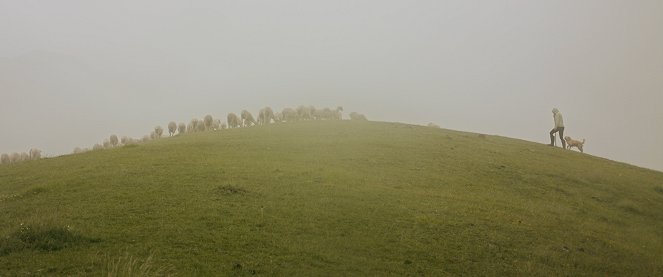 The Path of the Shepherd - Photos